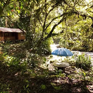 bosque-secreto-private-cabin-and-camping.hotelsquito.com/